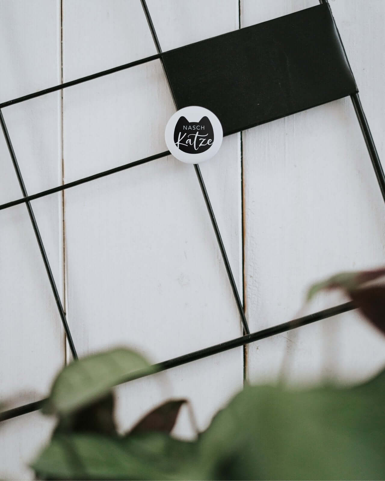 Naschkatze · Magnet · klein