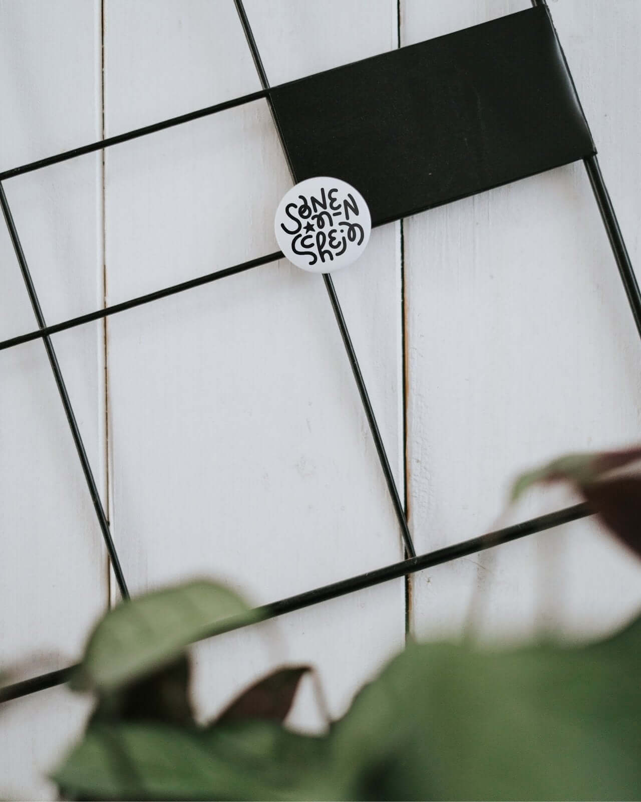 Sonnenschein · Magnet · klein