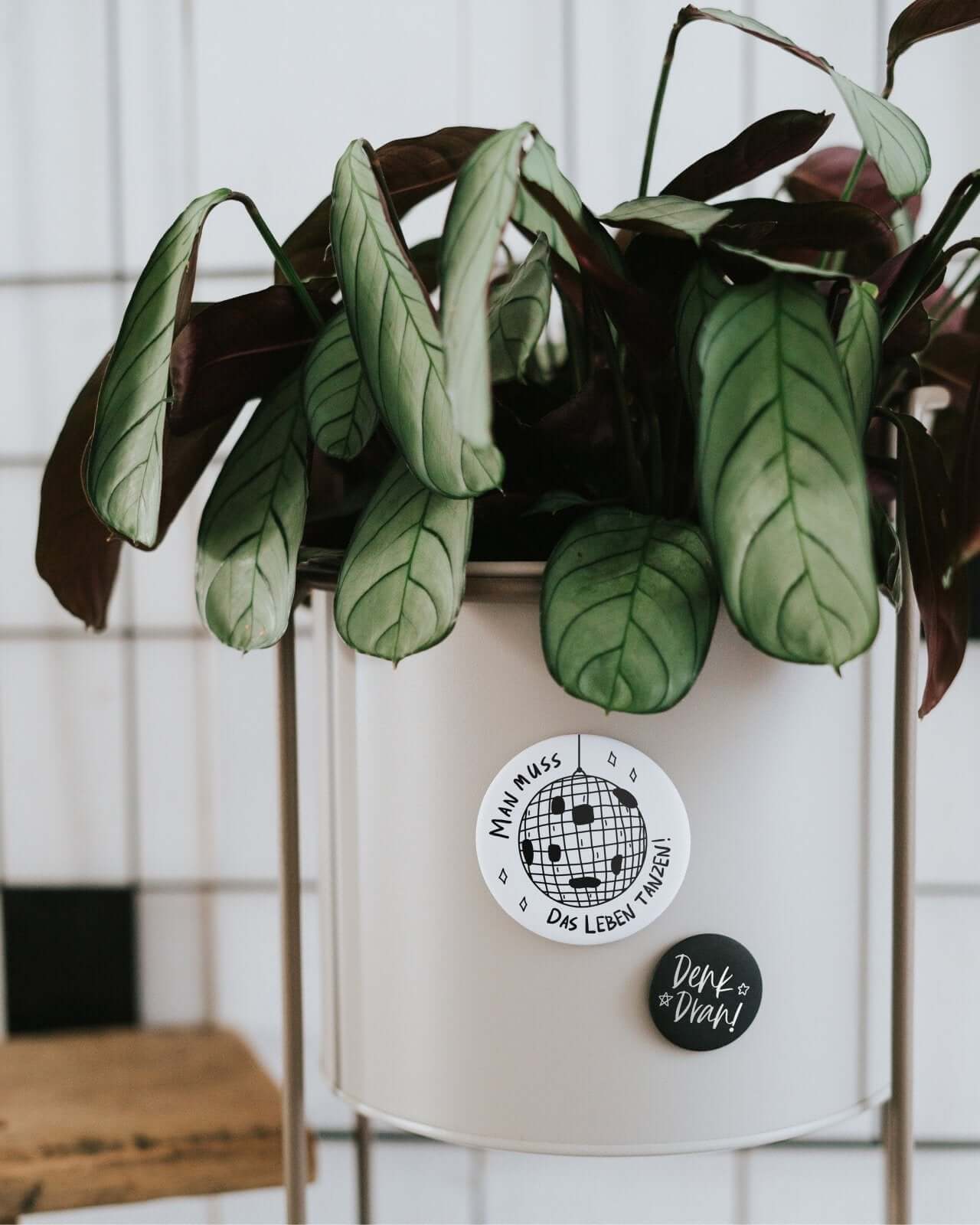 Denk dran · Magnet · klein