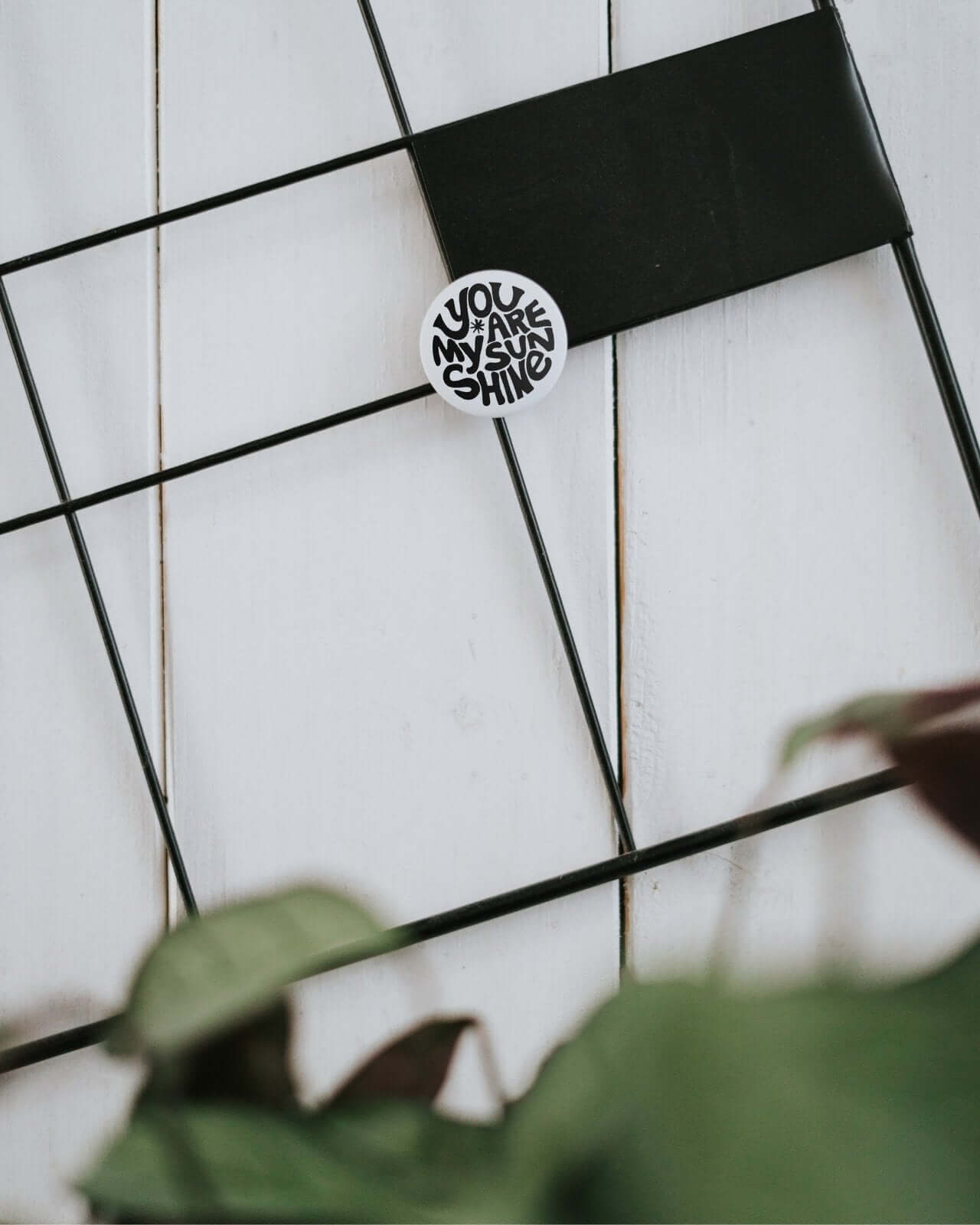 My sunshine · Magnet · klein