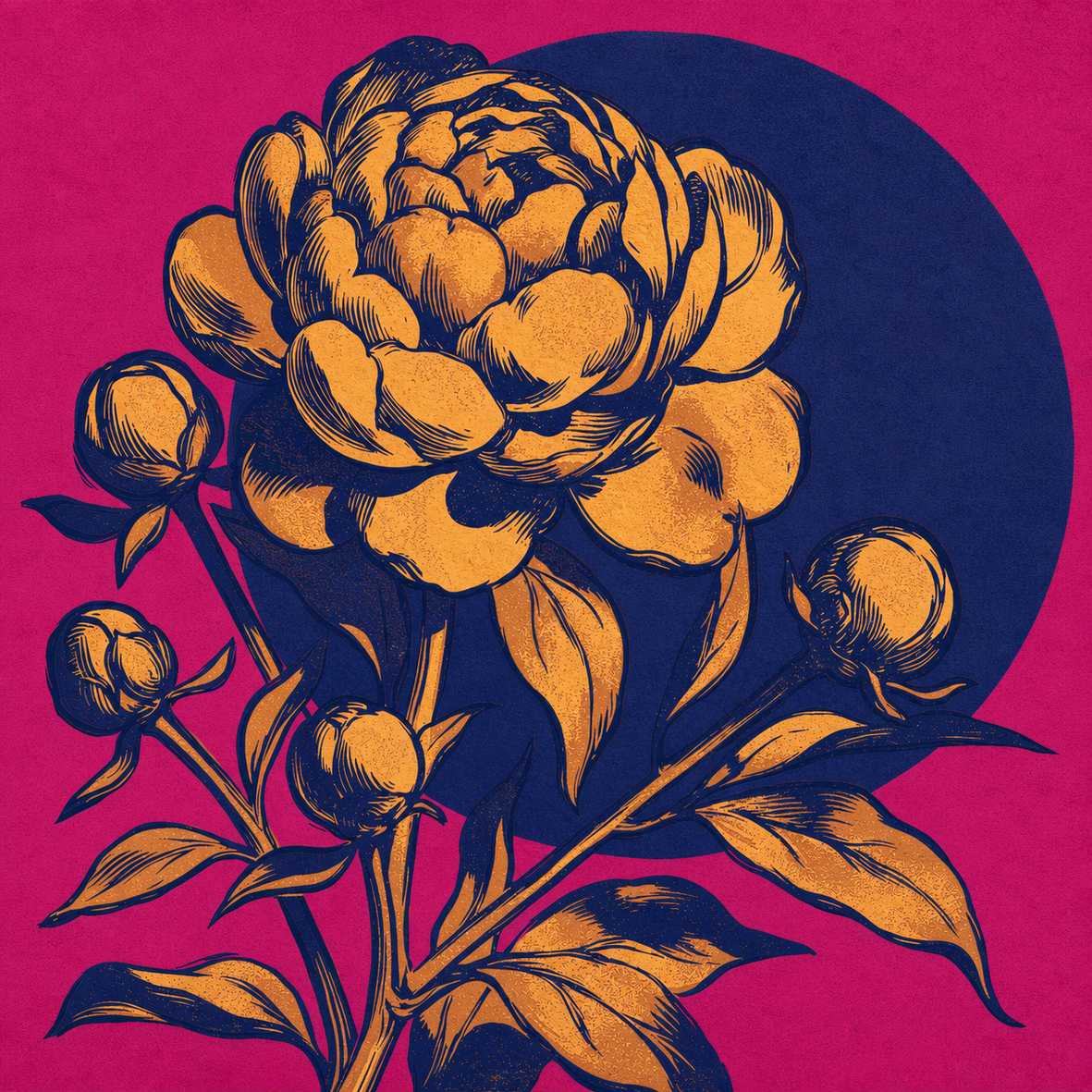 Grafische goldene Pfingstrose mit vier Knospen in Fuchsia und Indigo im modernen Vintage-Stil.