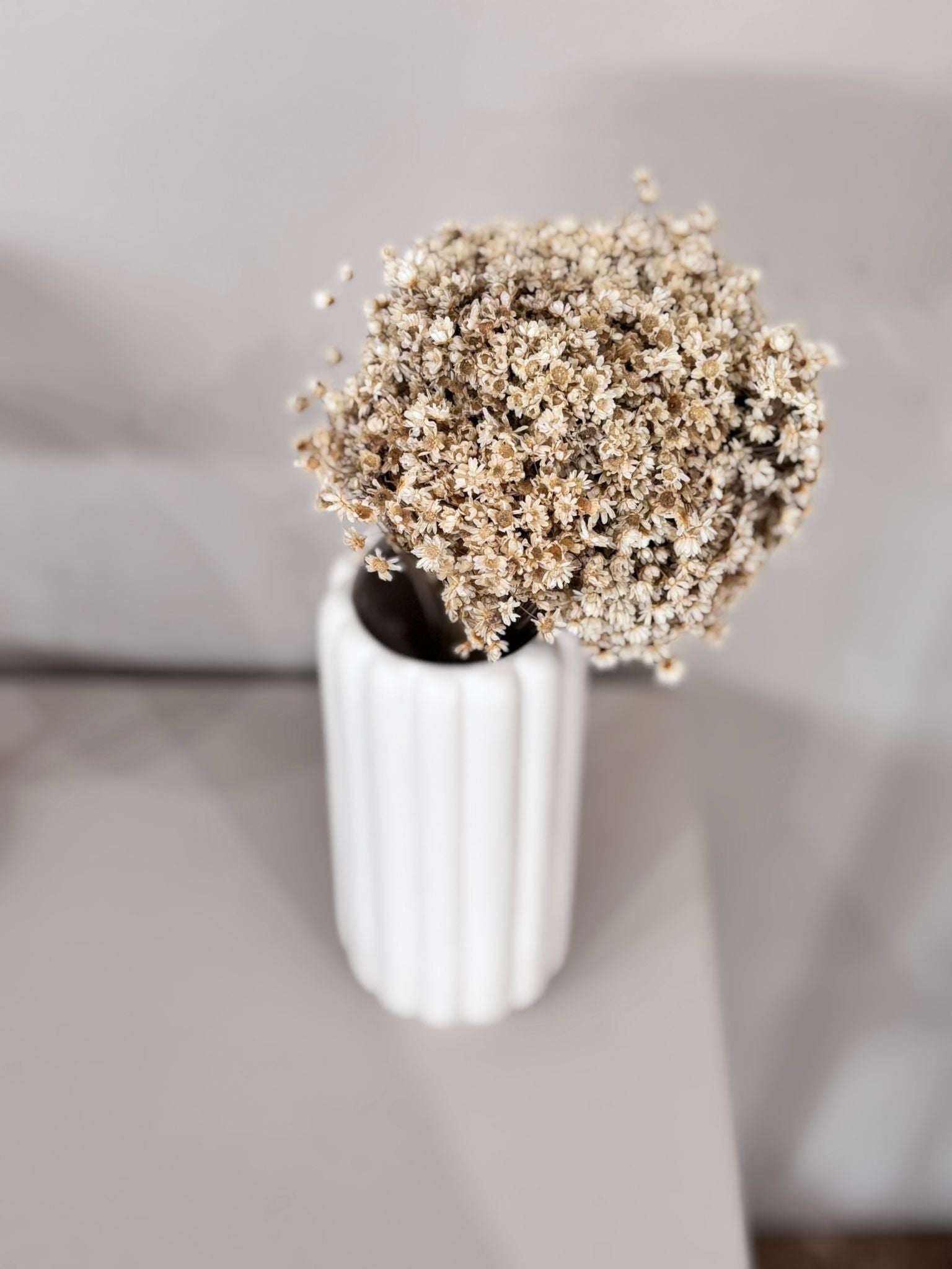 Glixia in cremeweiss - Outlet