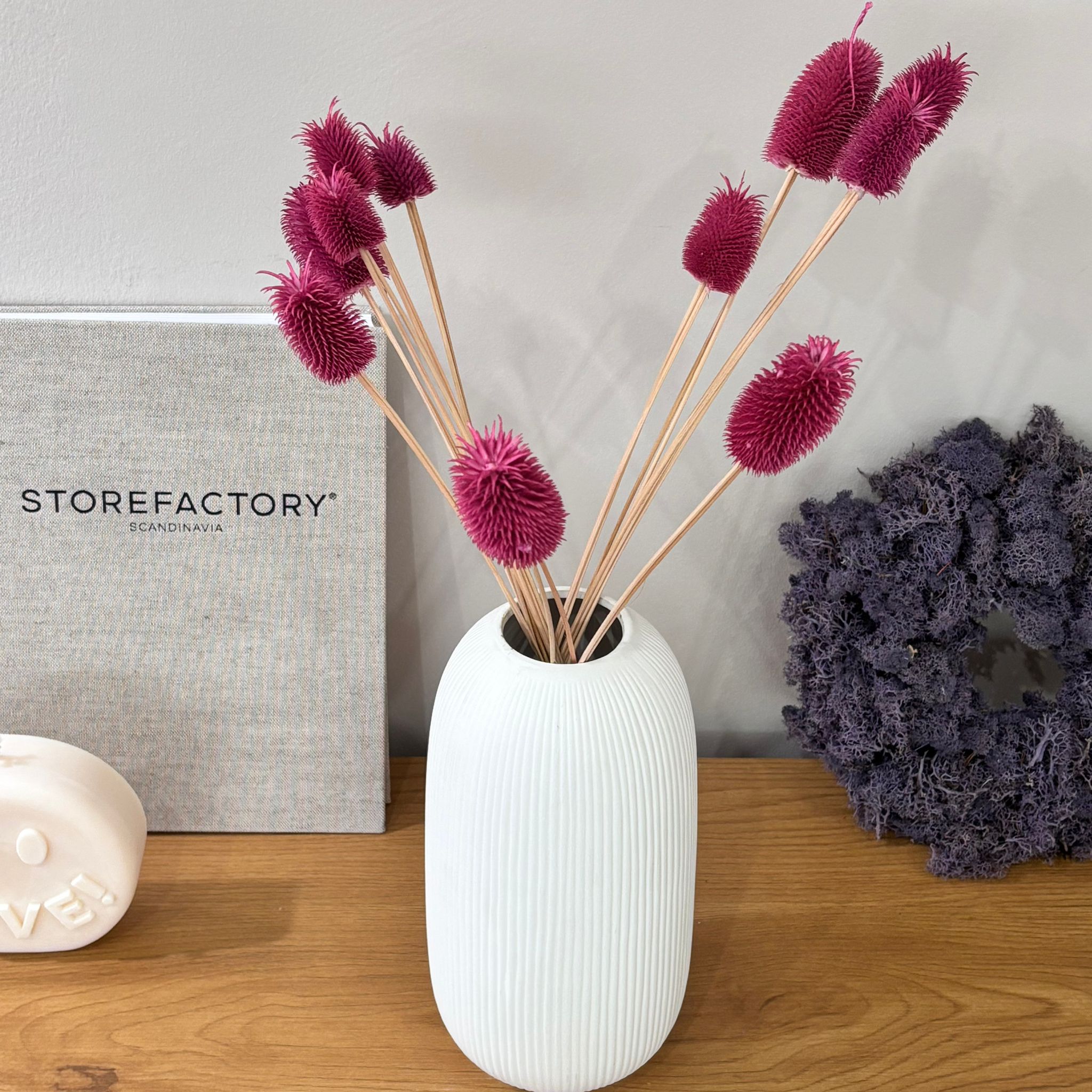 Getrocknete Distel - Cardi