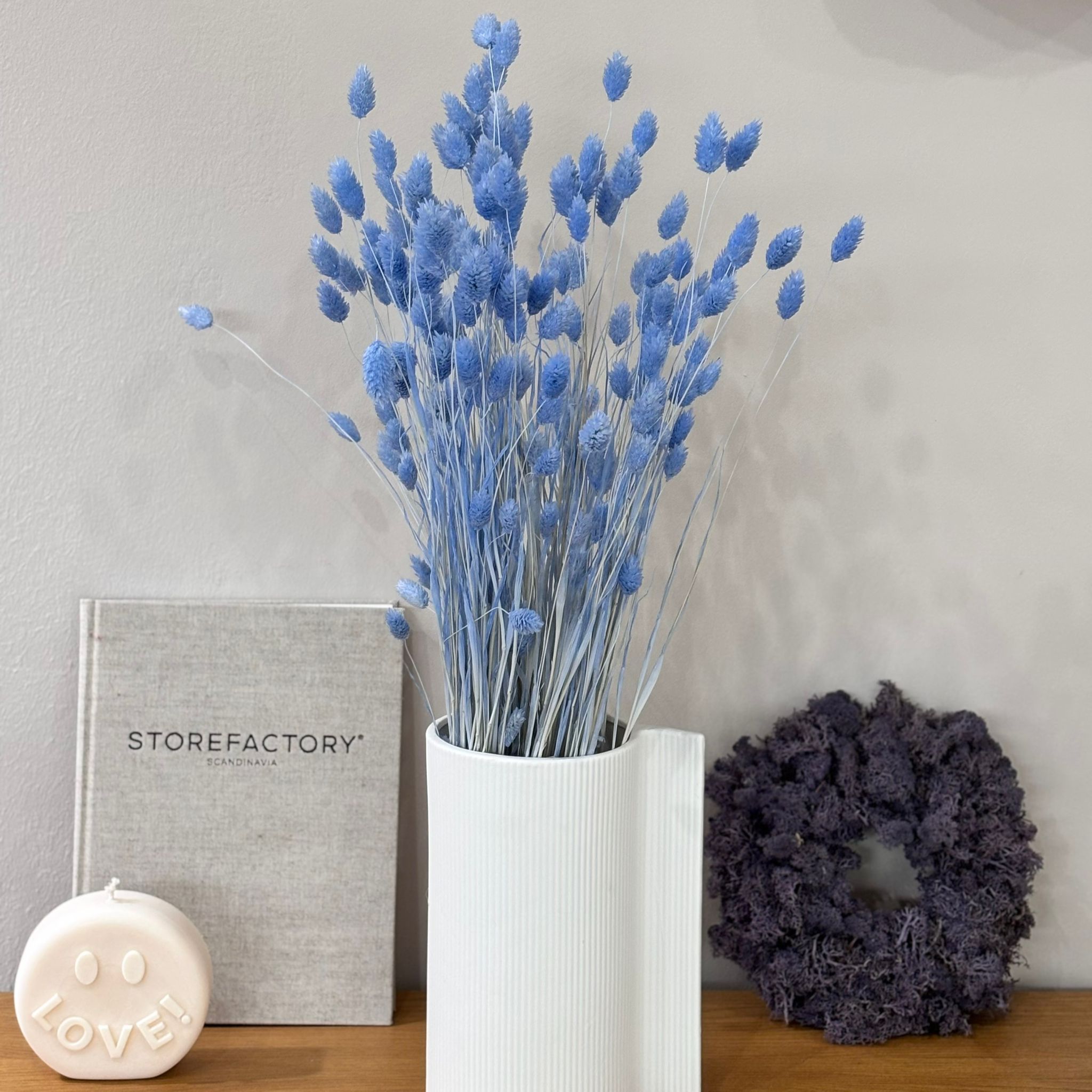 Phalaris I Kanariengras: Vielseitiger Allrounder für Deine Trockenblumen-Dekoration