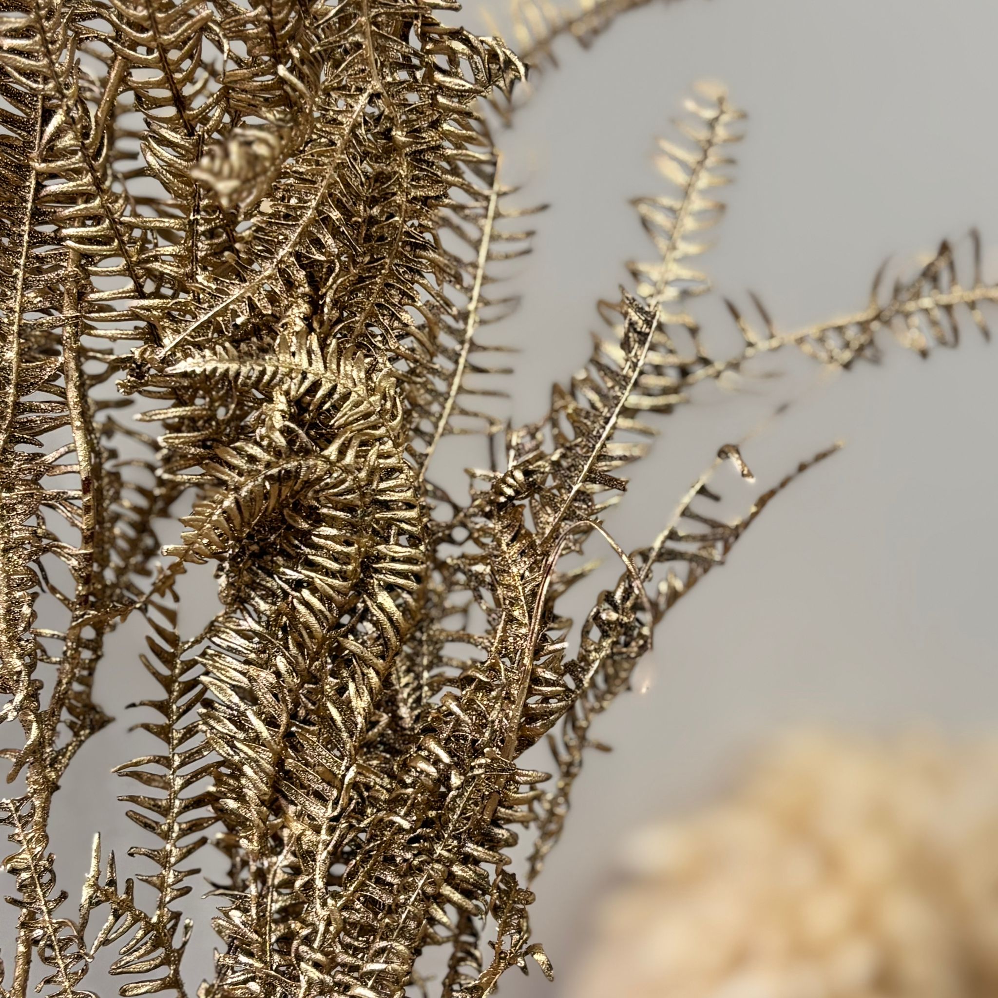 Konservierter Farn: Zauberhafte Momente für Dein Zuhause