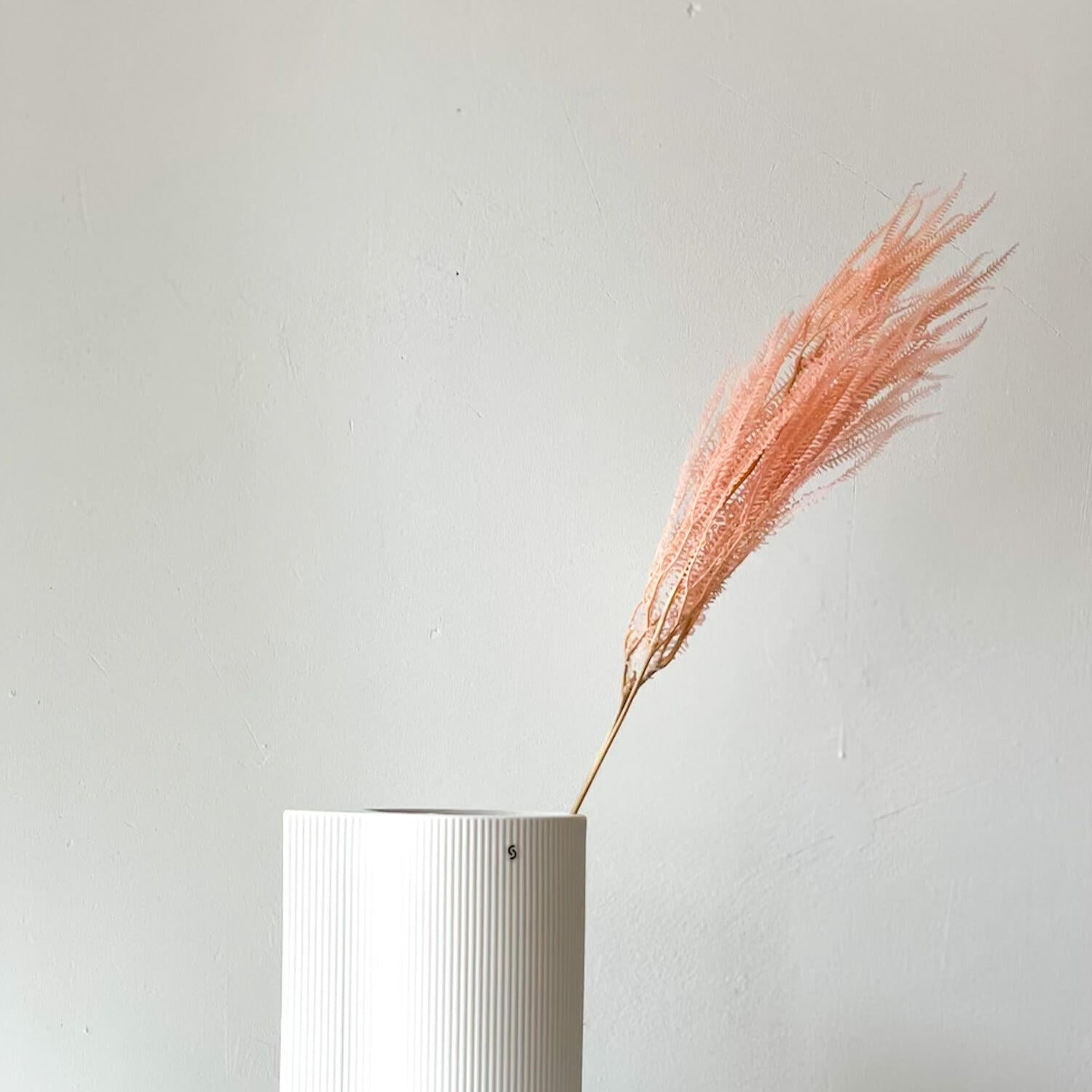 Konservierter Farn: Zauberhafte Momente für Dein Zuhause