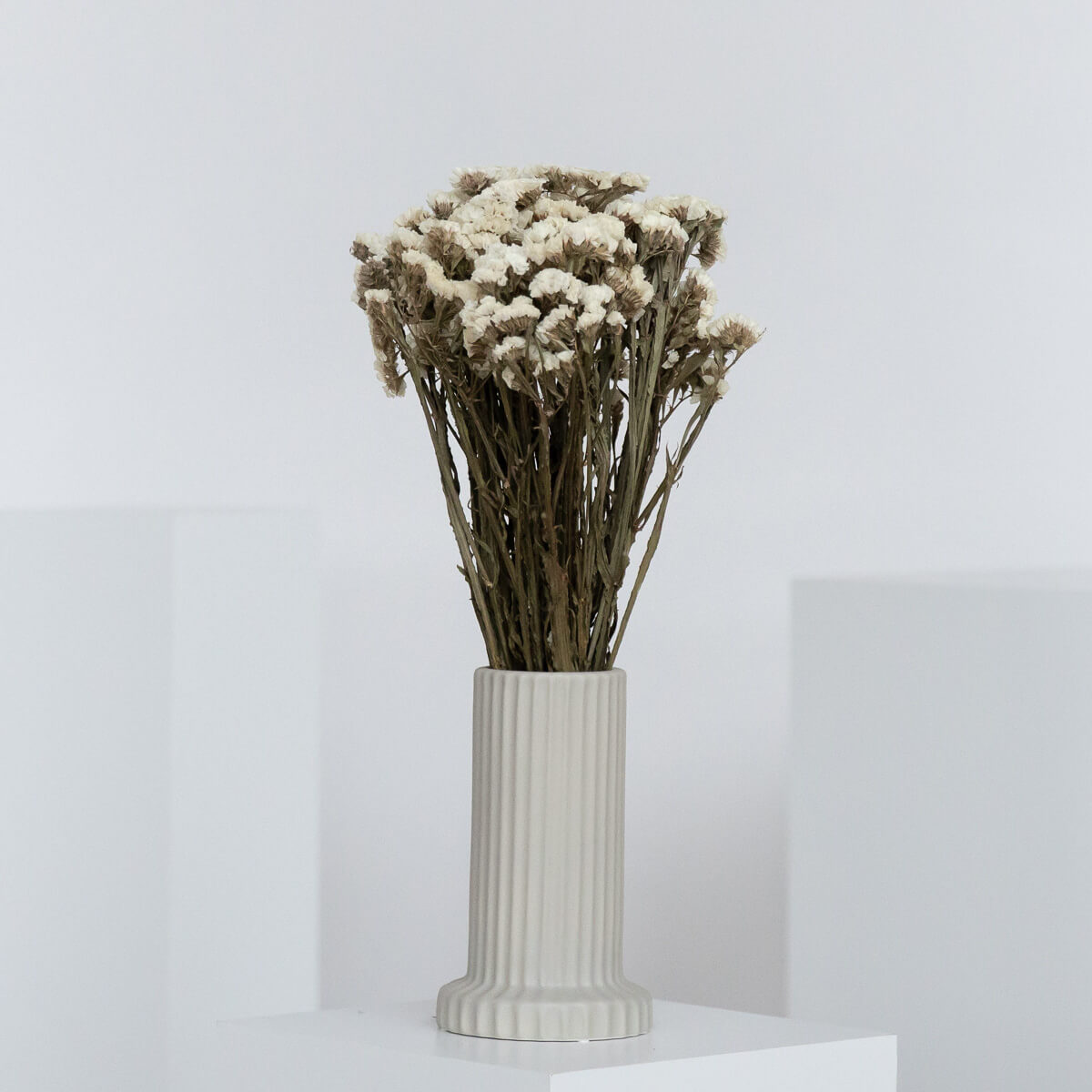 Strandflieder - Limonium Statice