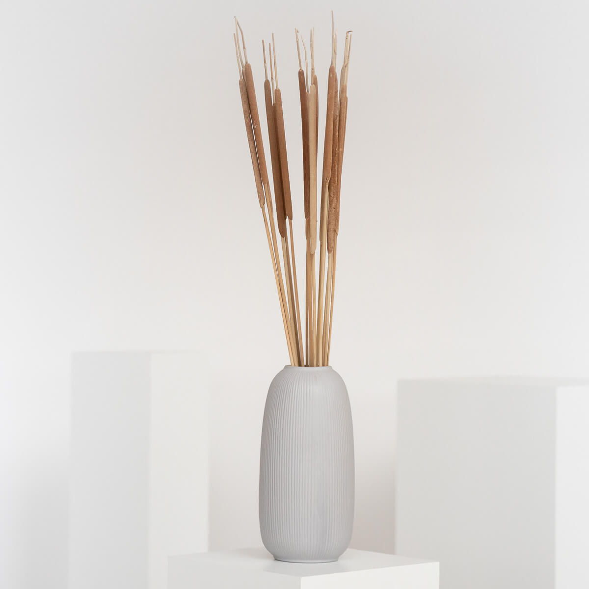 Kreatives Flair: Getrocknete Schilfkolben für Bastelprojekte und Dekorationen