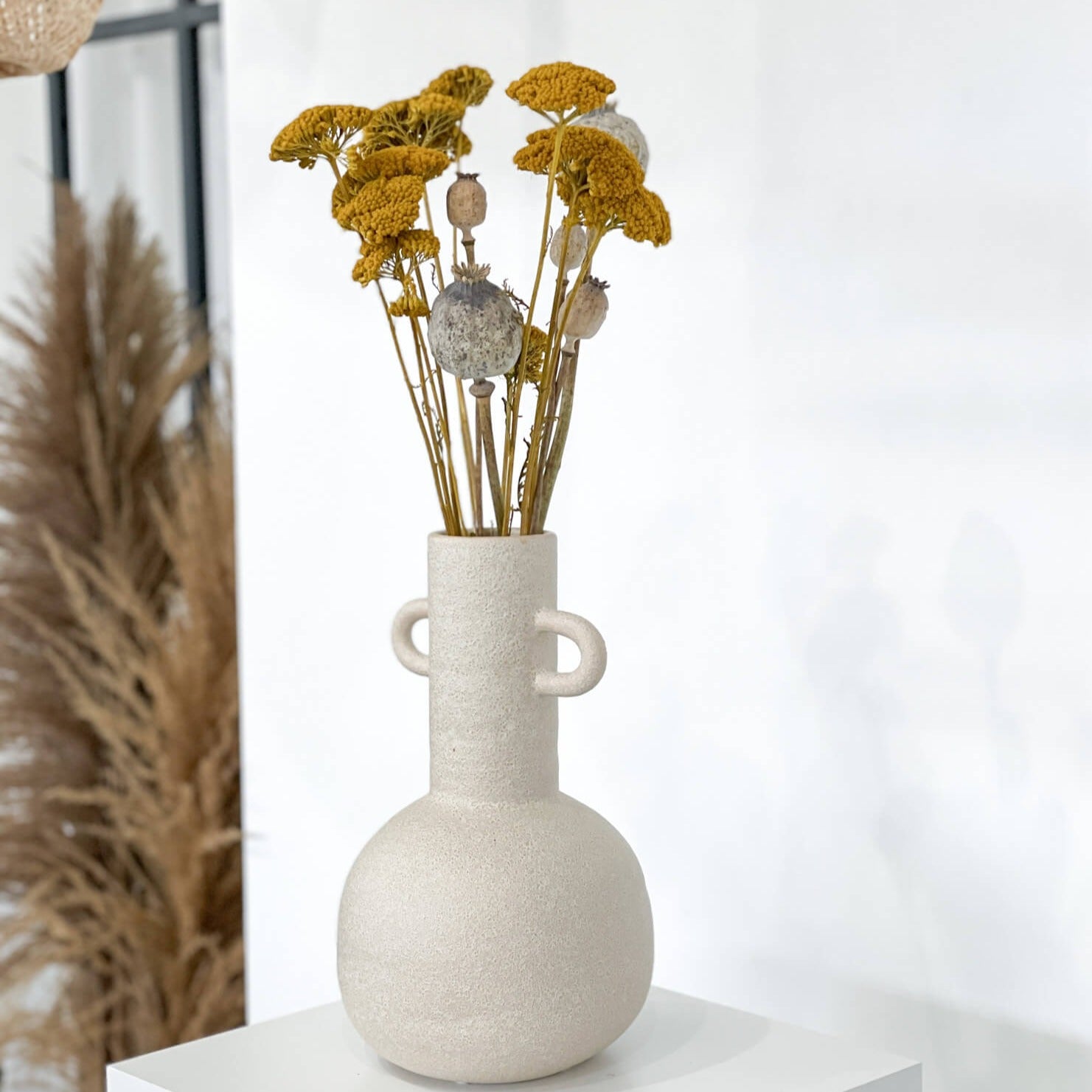 Schafgarbe getrocknet | Achillea