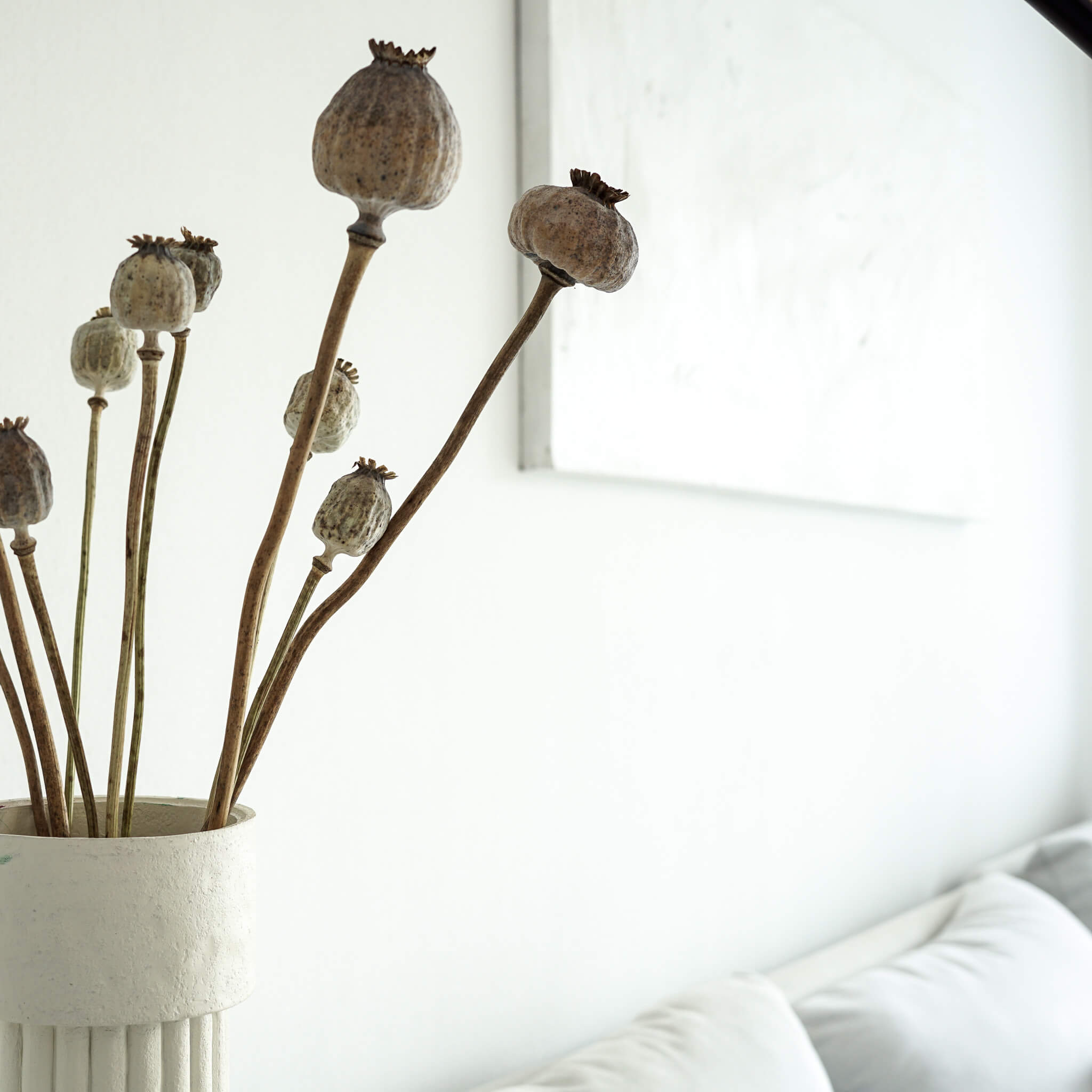 Mohnkapseln getrocknet: Lass deine Wohnung erblühen!