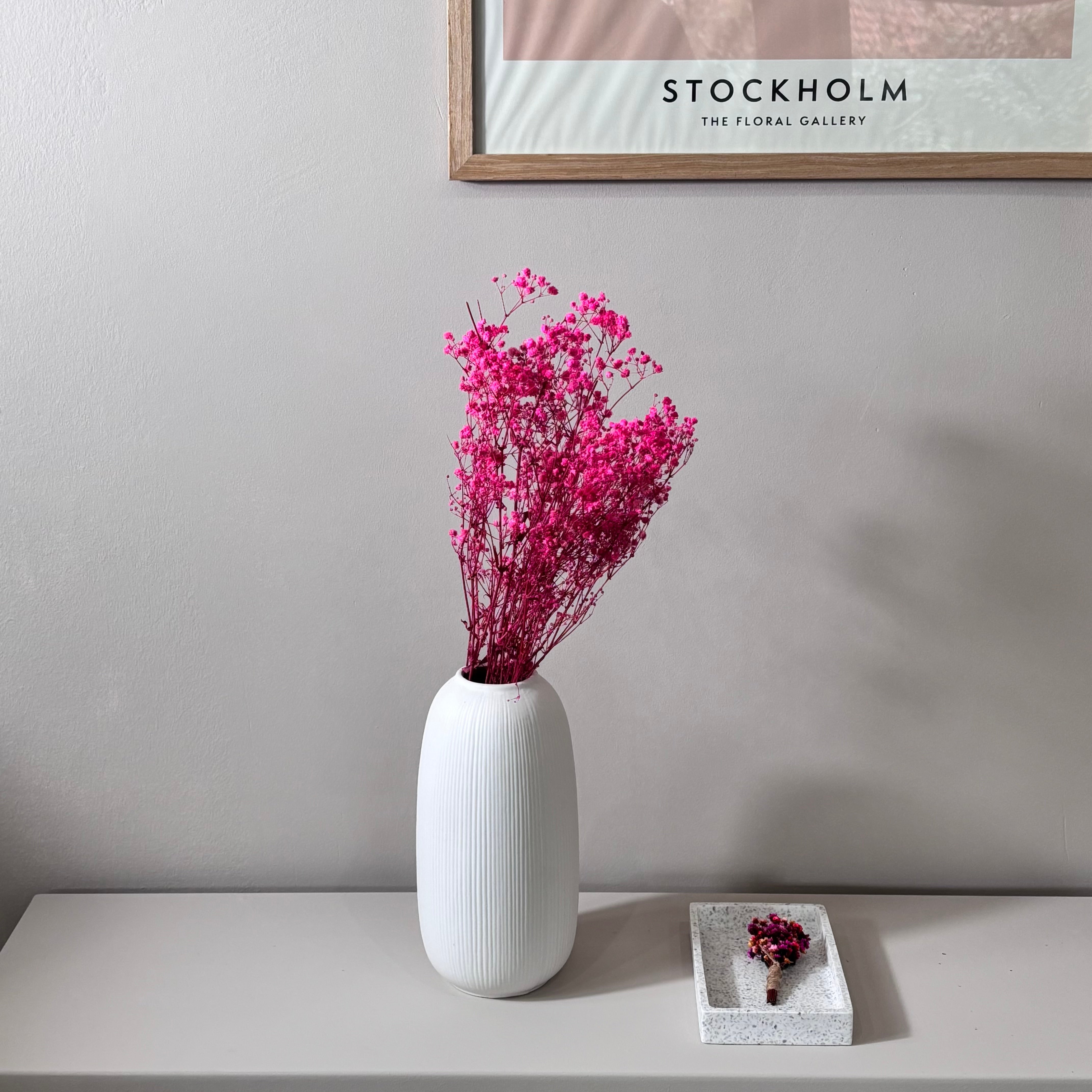 Gypsophilia | Schleierkraut: Ewige Schönheit für Deine Trockenblumensträuße und -kränze