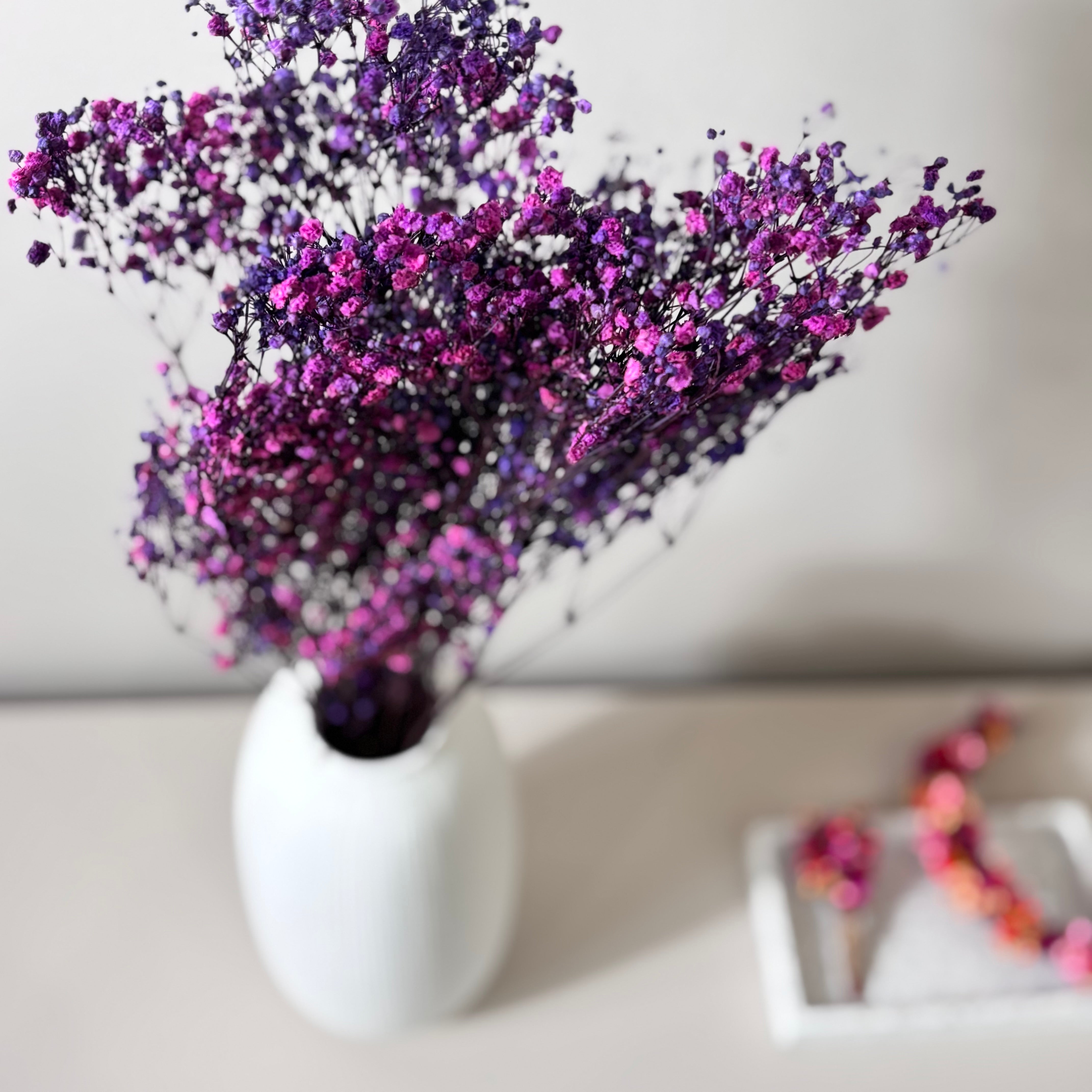 Gypsophilia | Schleierkraut: Ewige Schönheit für Deine Trockenblumensträuße und -kränze