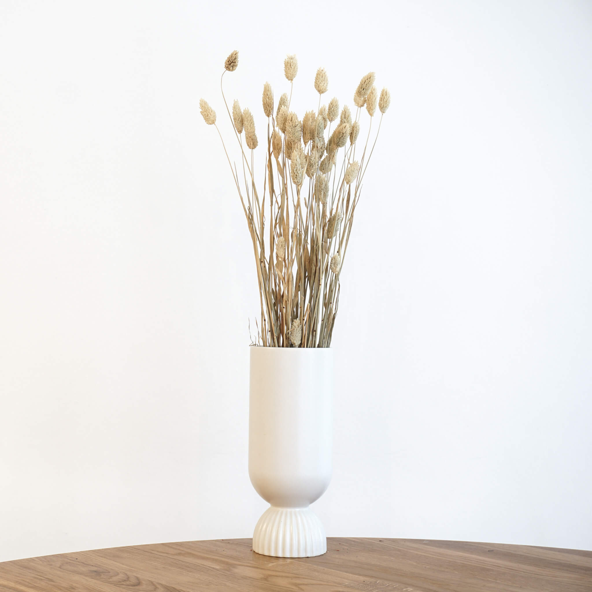 Phalaris I Kanariengras: Vielseitiger Allrounder für Deine Trockenblumen-Dekoration