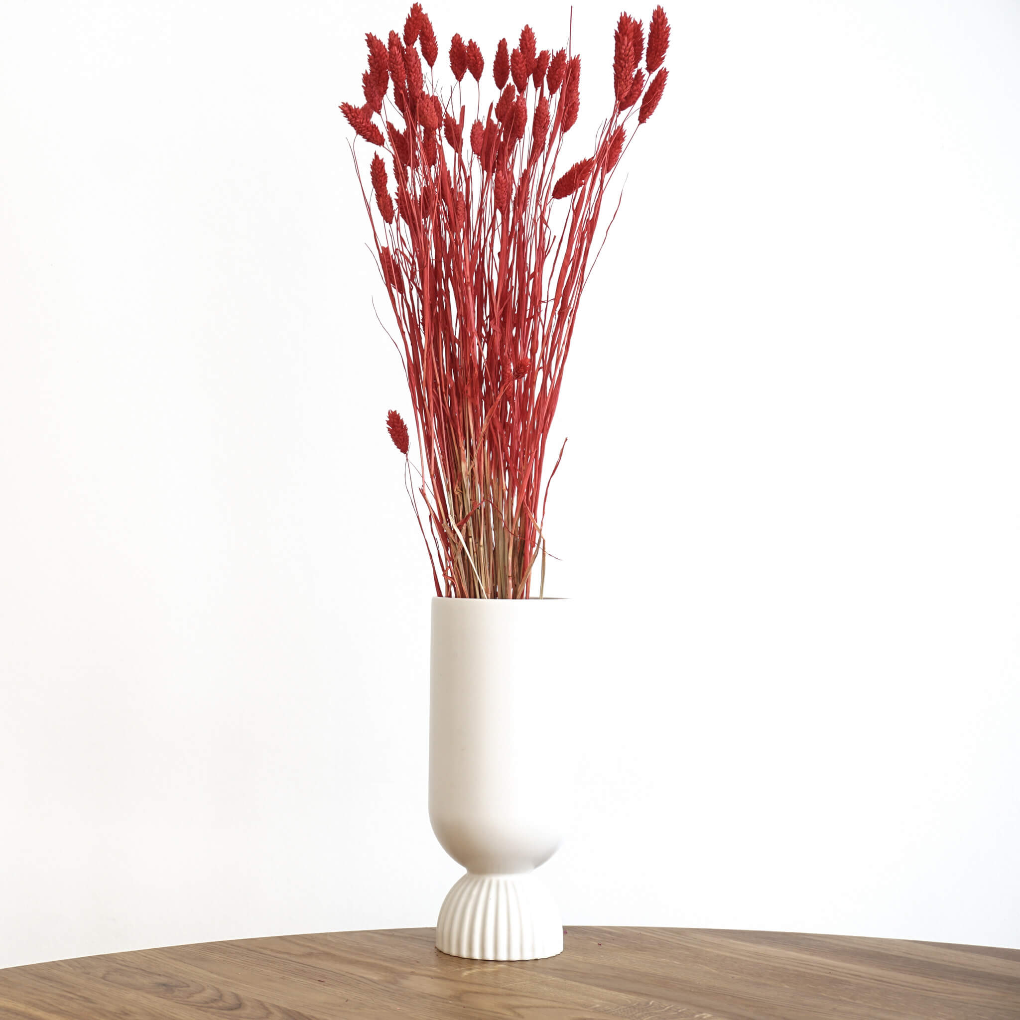 Phalaris I Kanariengras: Vielseitiger Allrounder für Deine Trockenblumen-Dekoration