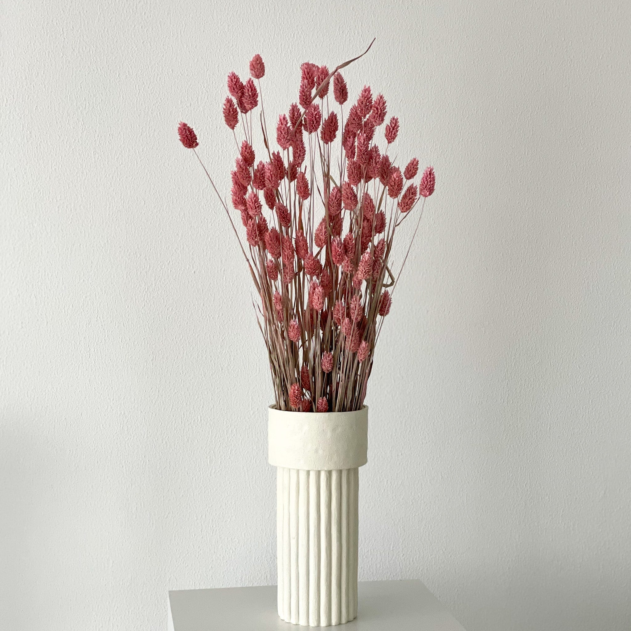 Phalaris I Kanariengras: Vielseitiger Allrounder für Deine Trockenblumen-Dekoration