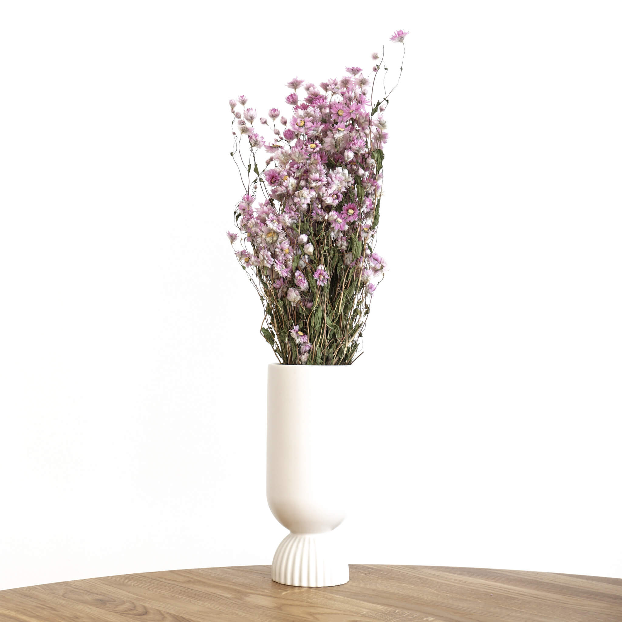 Rodanthe | großer Bund