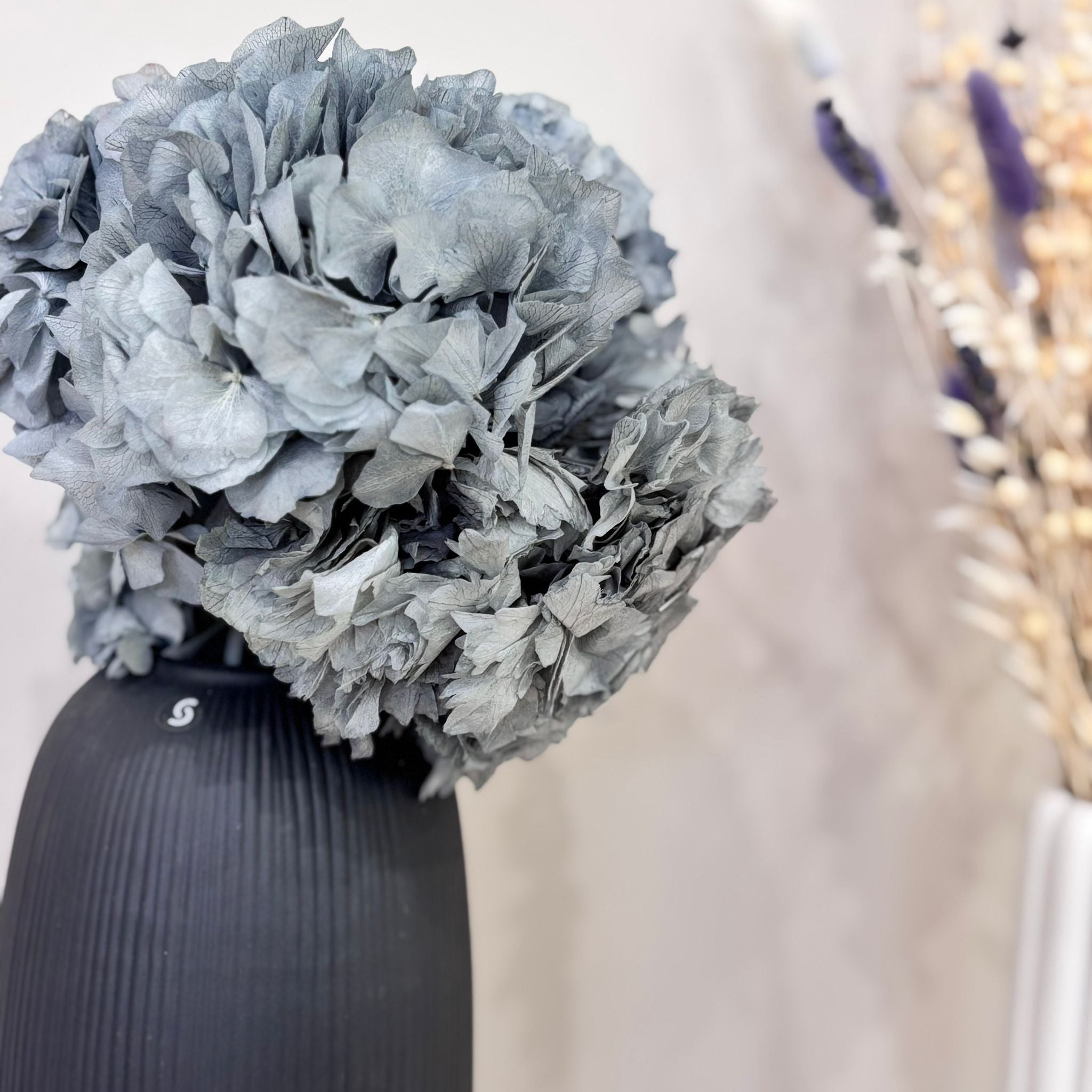 Hortensie: Zeitlose Schönheit, konservierte Hortensien als perfekte Dekoration