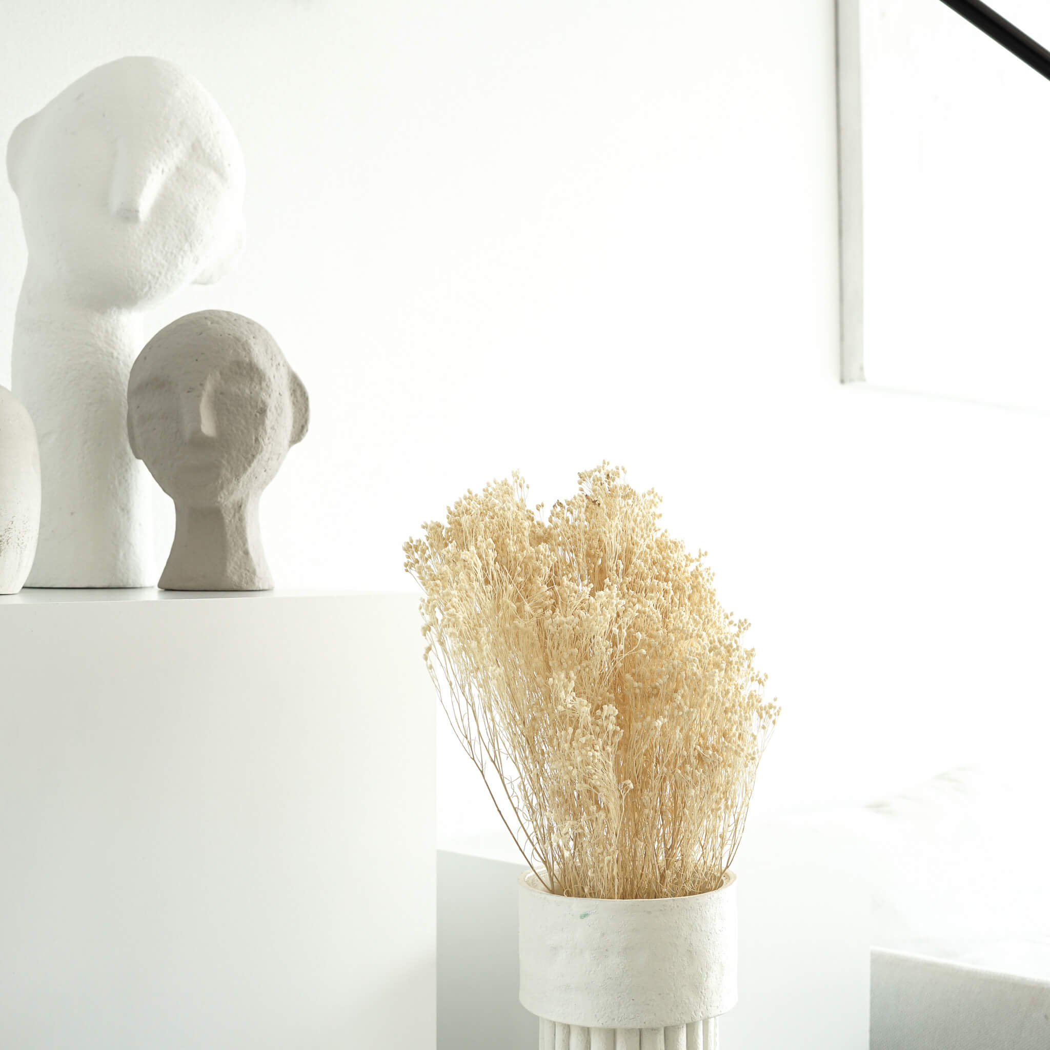 Broom Bloom - ein Bund