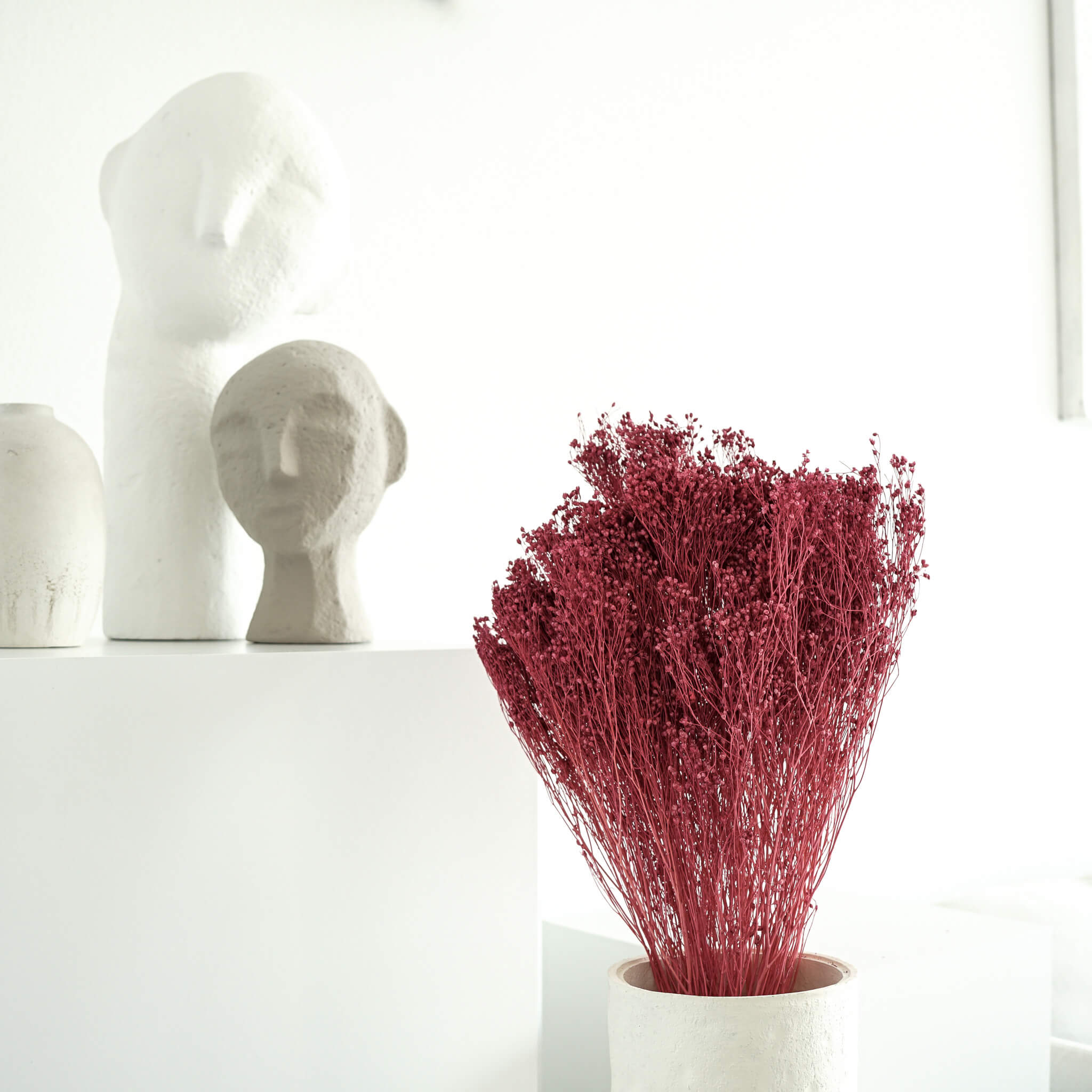 Broom Bloom - ein Bund