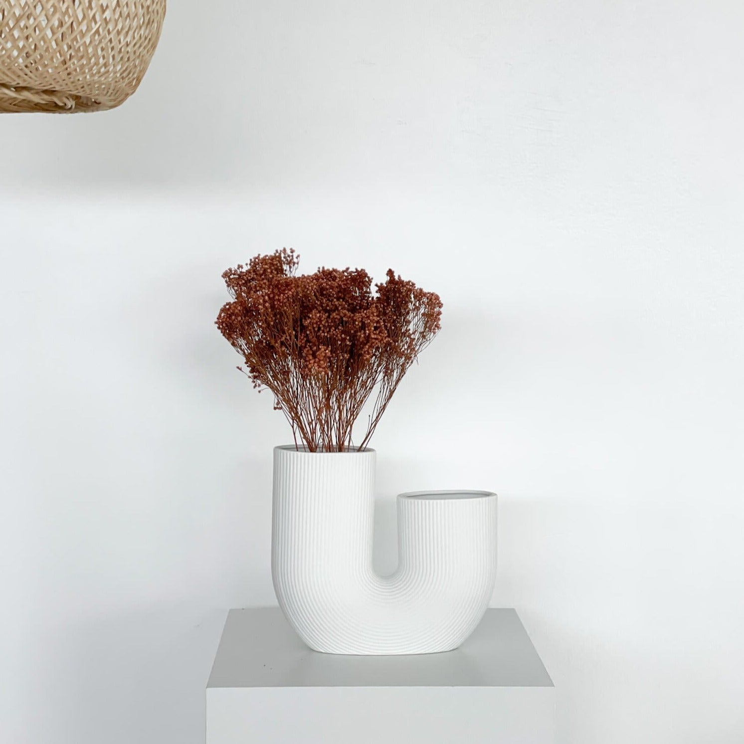 Broom Bloom - ein Bund