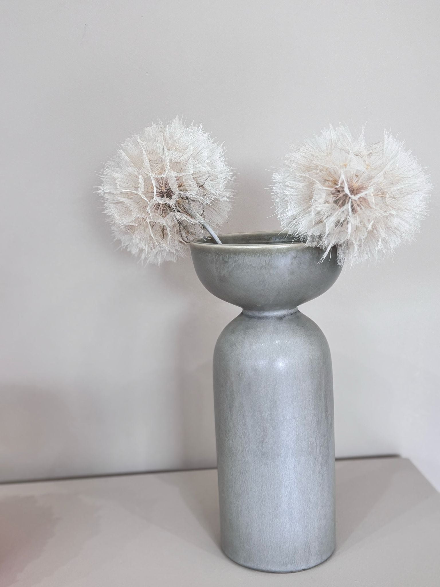 Pusteblume getrocknet einzeln